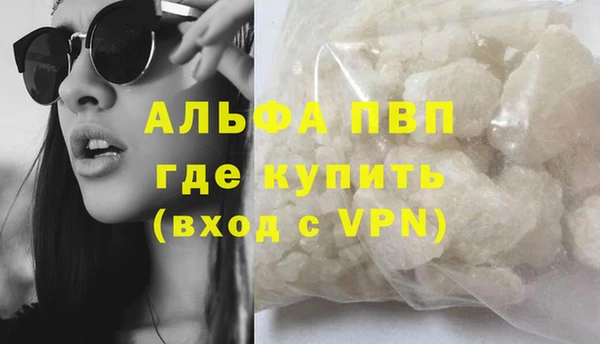 прущие грибы Беломорск