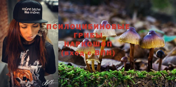 соль курить ск Богородск