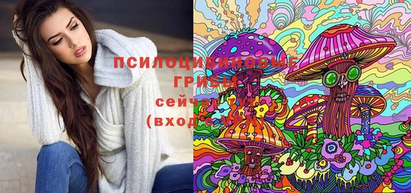 соль курить ск Богородск