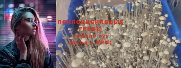 соль курить ск Богородск